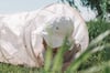 That’s mine Activity tunnel – Clover