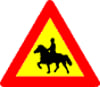Reiðmenn