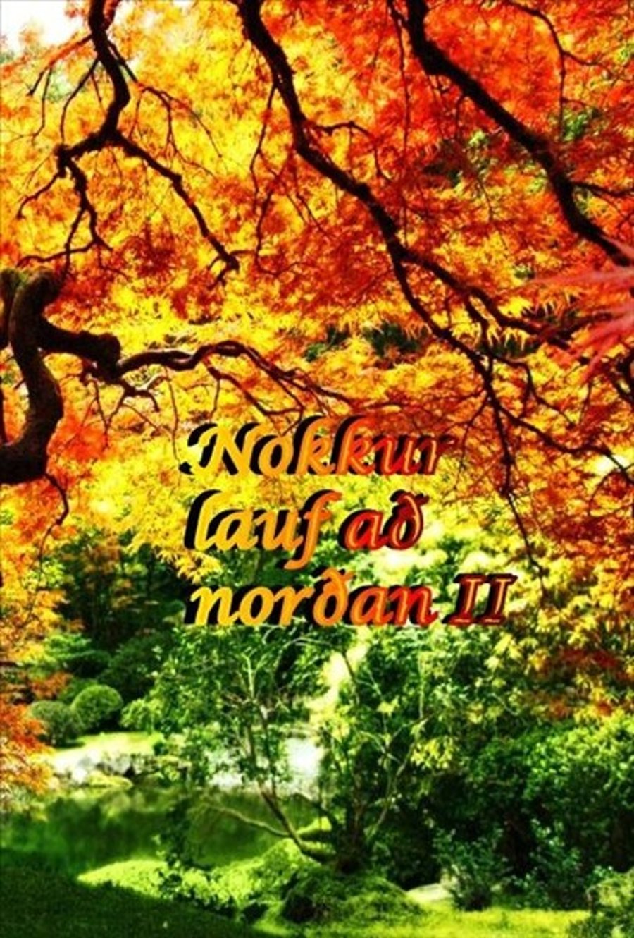 Nokkur lauf að norðan - 2