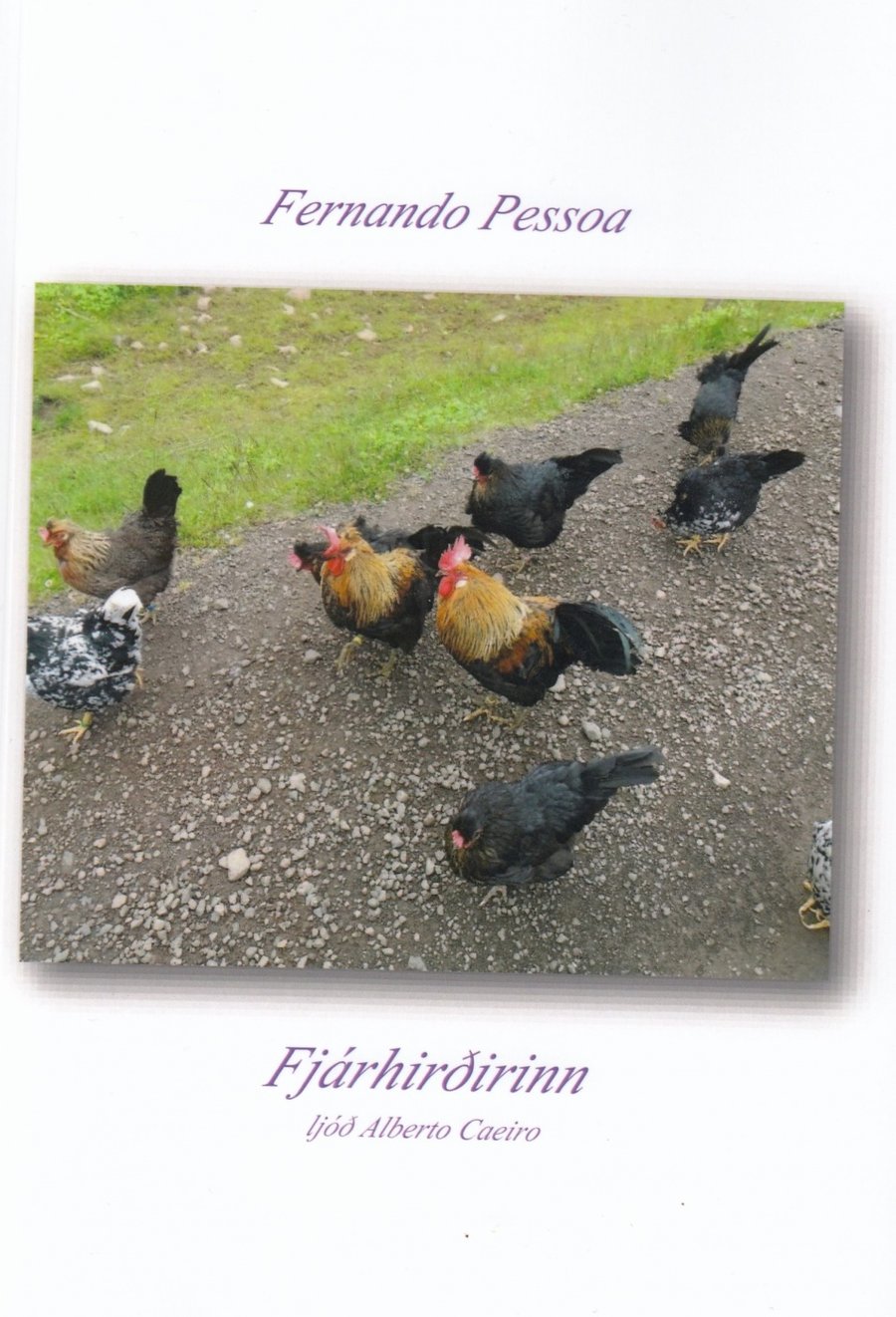 Fjárhirðirinn