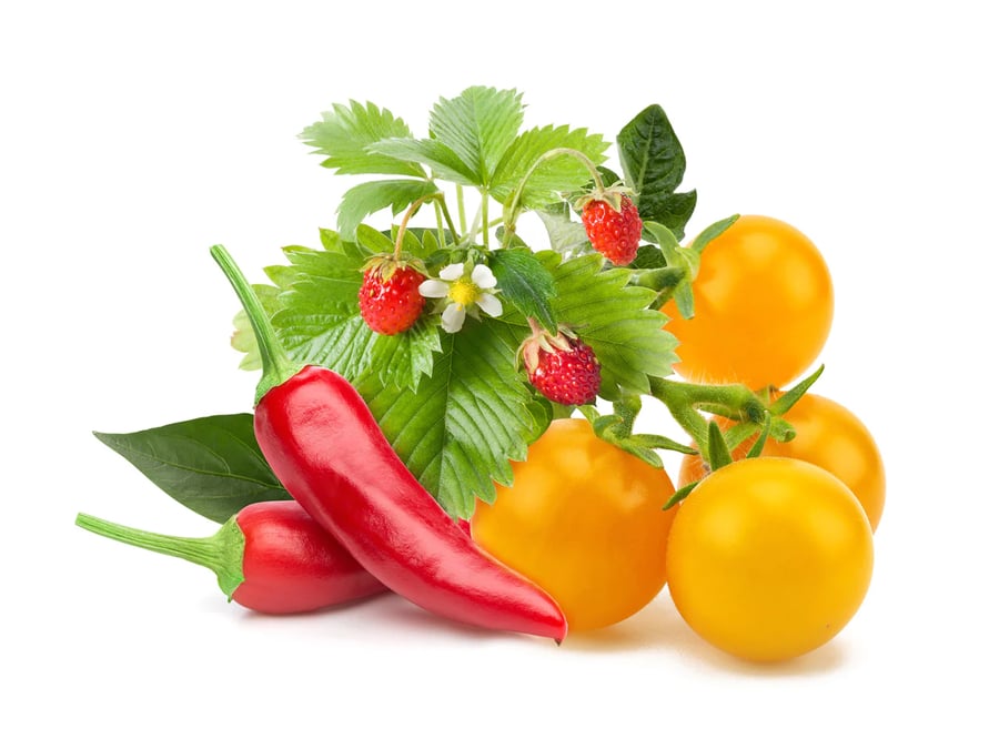 Click and Grow Smart Garden Áfylling 9-pack - Ávaxta og Grænmetisblanda (Fruit and Veggie Mix)