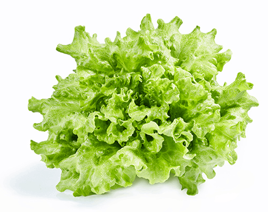 Lambahagi salat í potti 150 gr