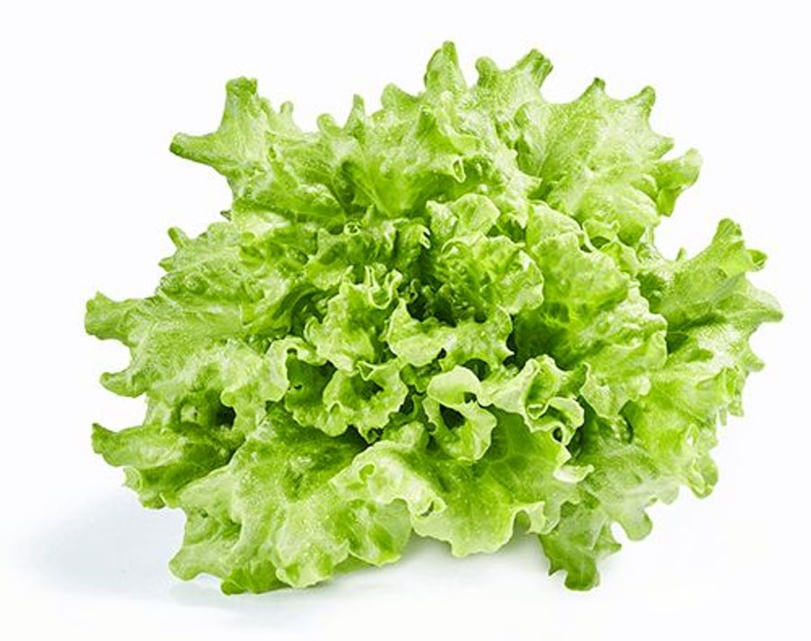 Lambahagi salat í potti 150 gr