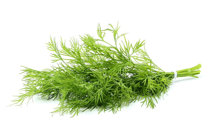 G&V Dill 50 gr