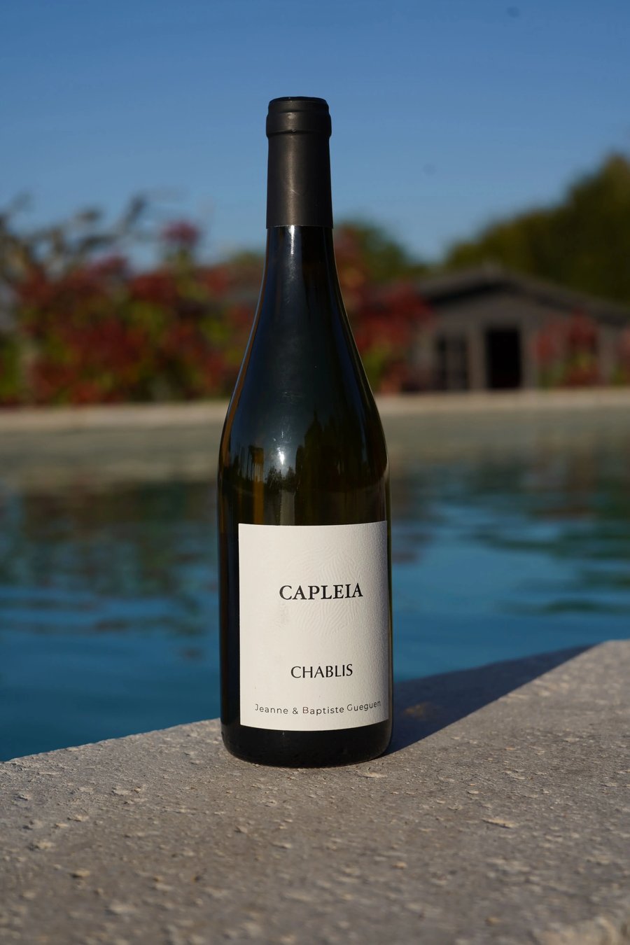 2025 Capleia Petit Chablis