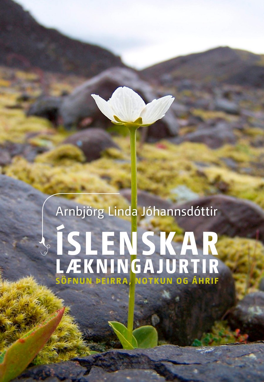 Íslenskar lækningajurtir