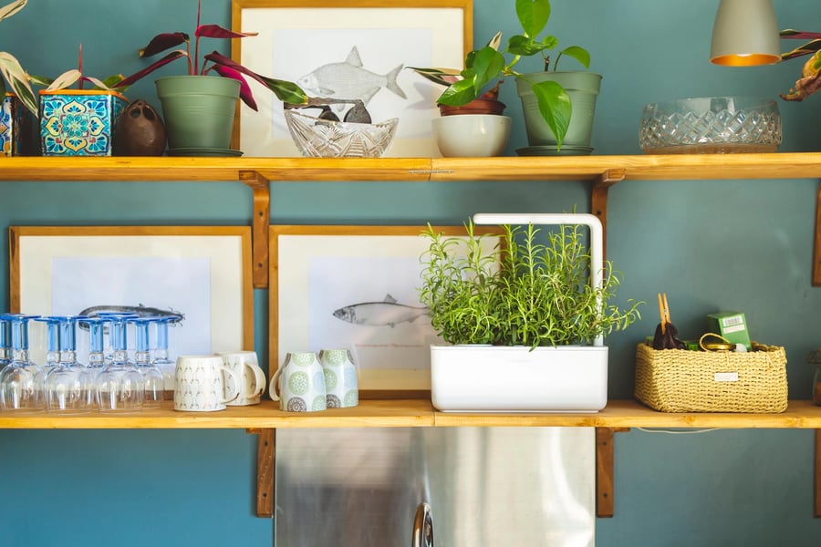 Click and Grow Smart Garden 3 HVÍTUR