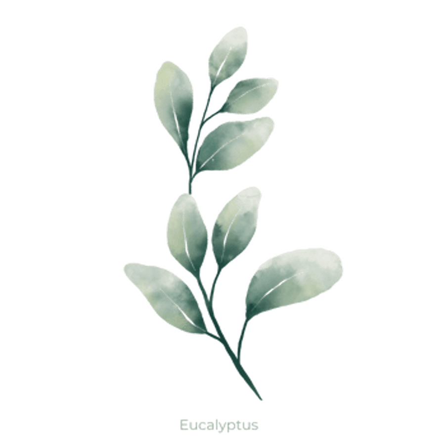 Eucalyptus Ilmkjarnaolía Relaxation Centre Collection 10 ml