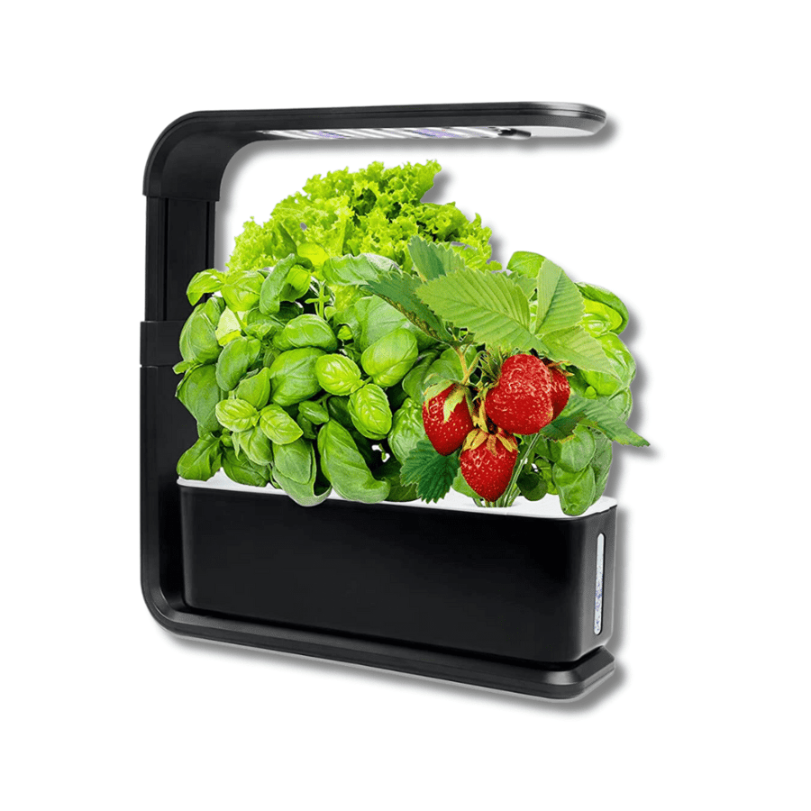 Indoor Smart Garden - SMART GARDEN