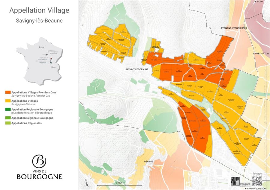 2023 Arnaud Baillot Savigny-Les-Beaune