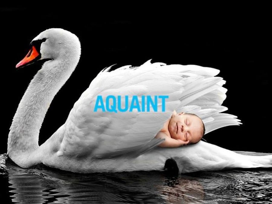Aquaint 100% sótthreinsivatn 500ml
