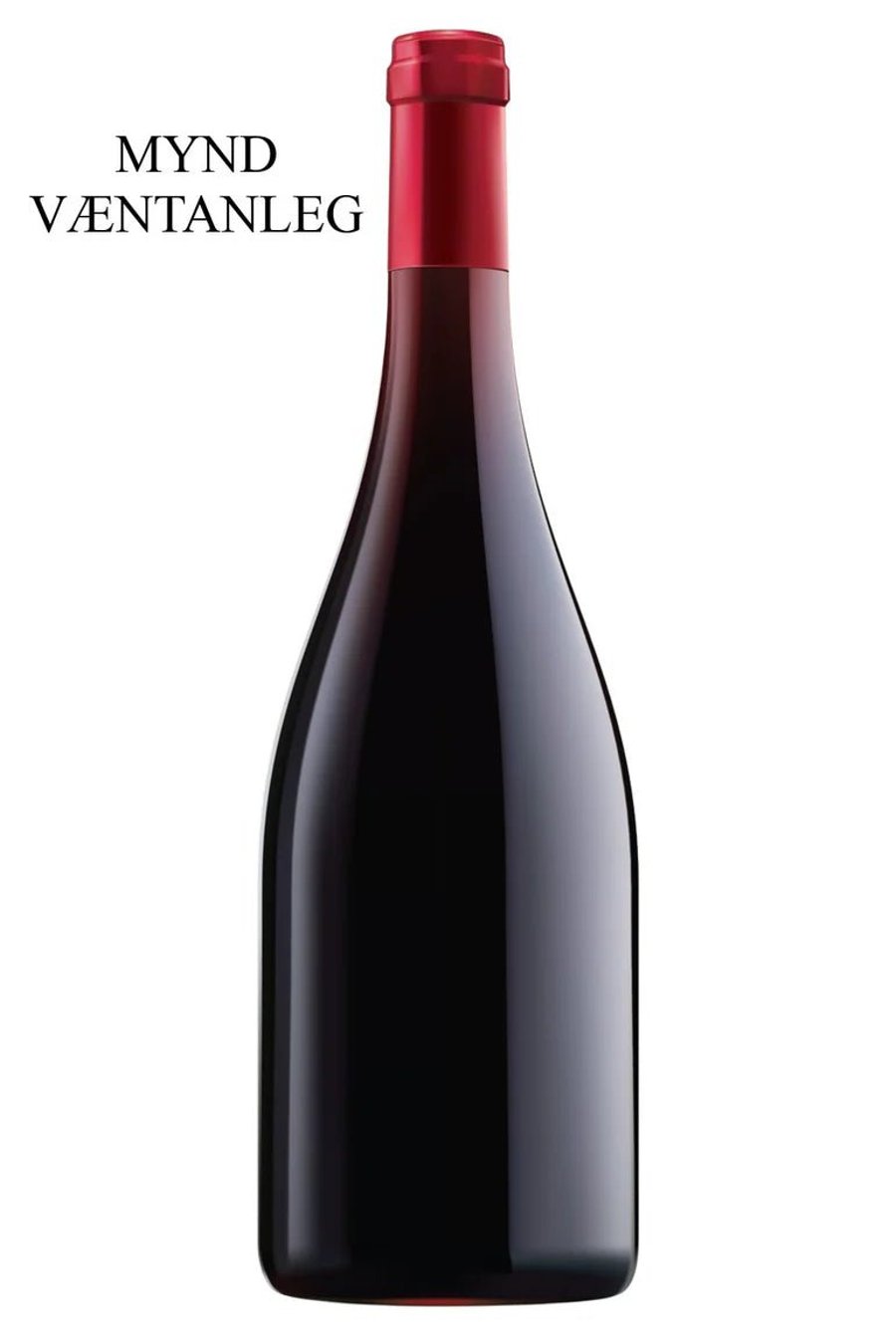 2022 Georges Noëllat Nuits-Saint-Georges 1er Cru Les Saints-Georges