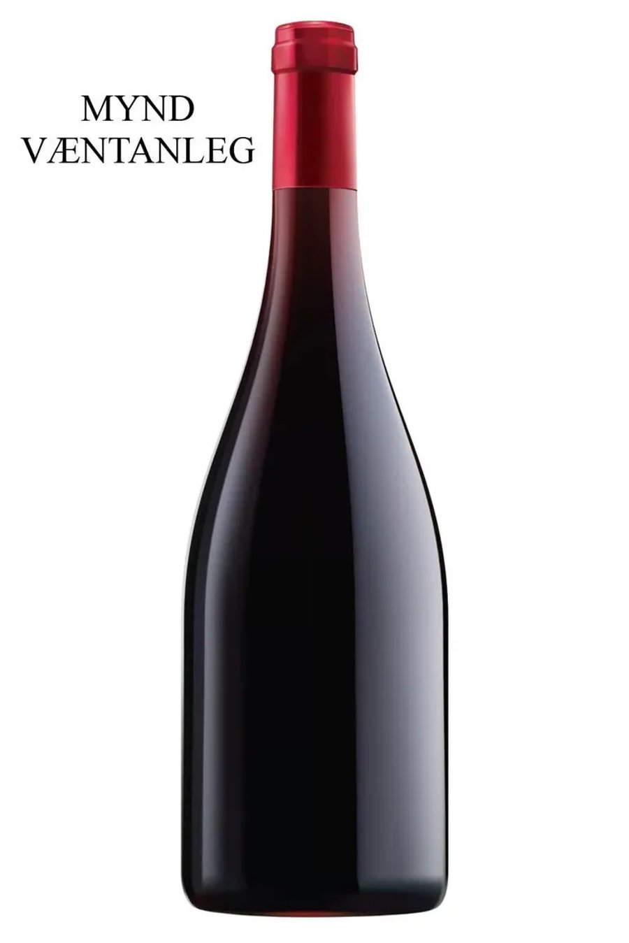 2023 Georges Noëllat Nuits-Saint-Georges 1er Cru Les Saints-Georges
