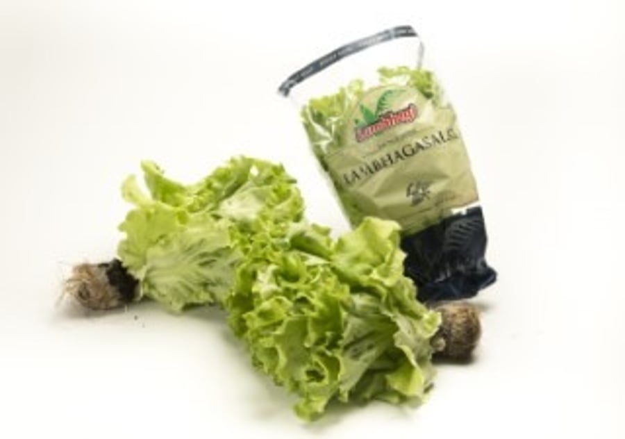 Lambhaga salat 150 g