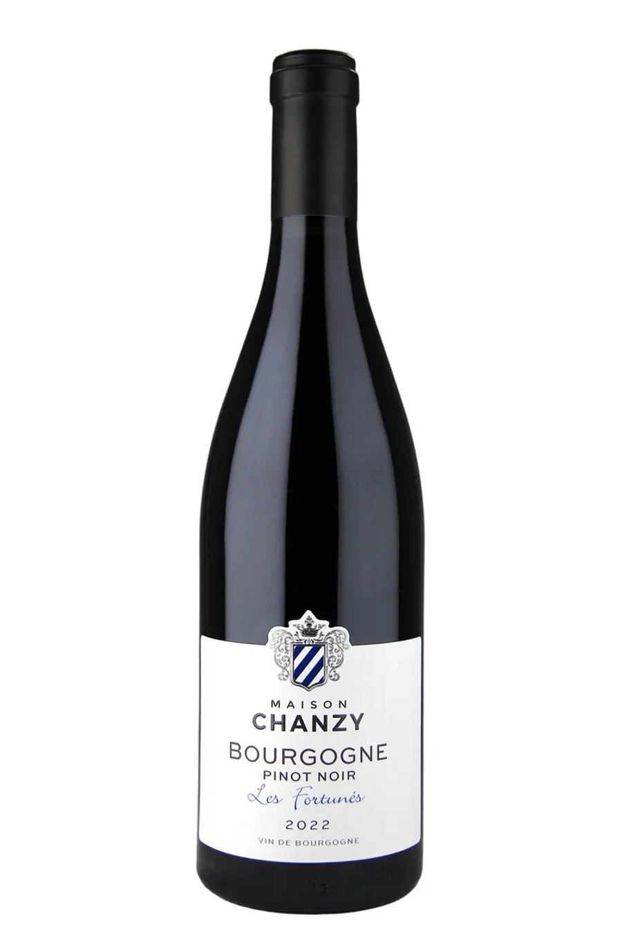2024 Chanzy Bourgogne Pinot Noir Les Fortunés