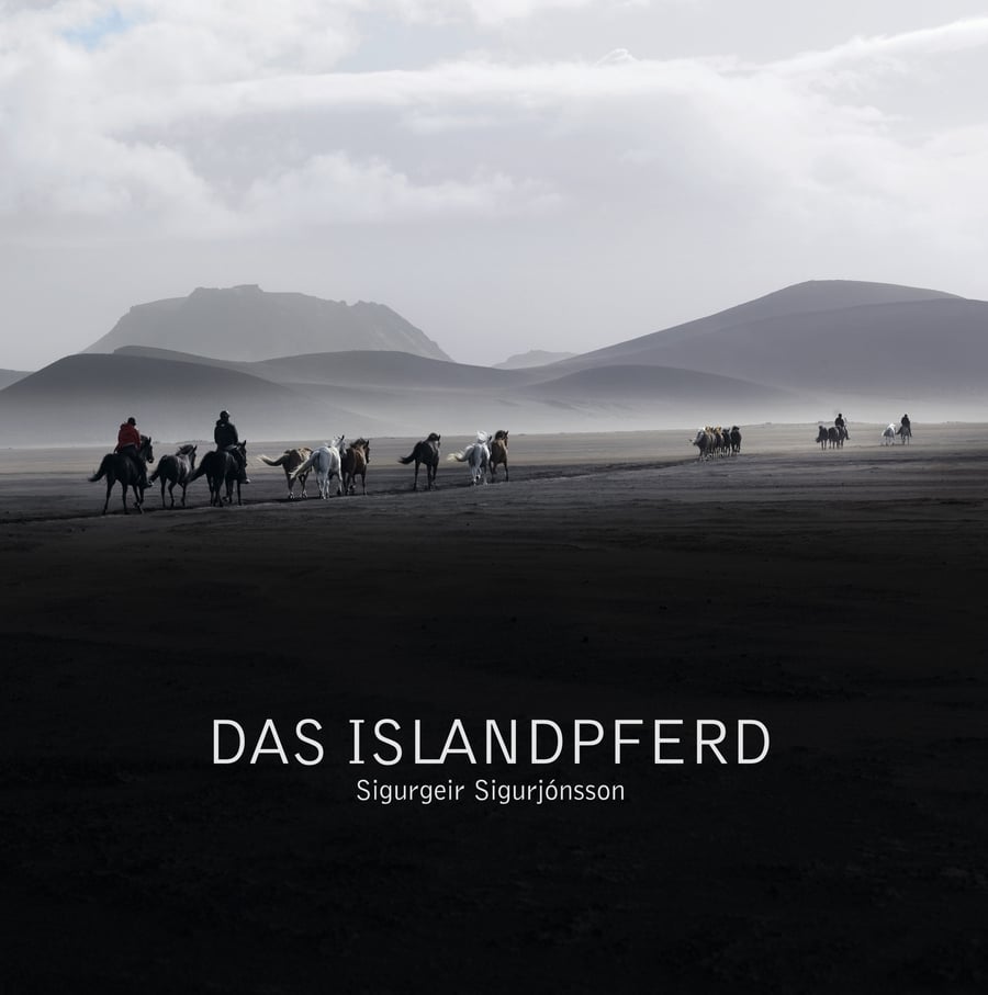 Das Islandspferd