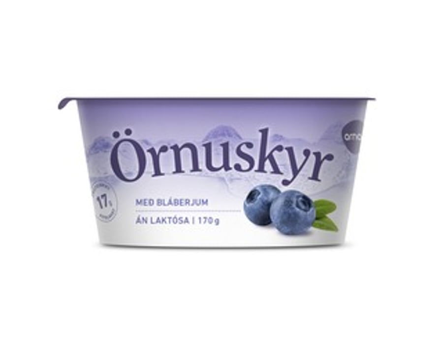 Arna skyr með bláberjum 170 g