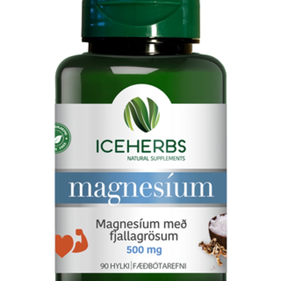 Iceherbs magnesíum 90 stk.