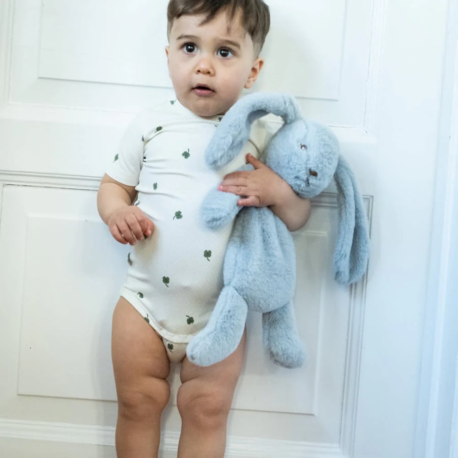 Houston heavy teddy small  Bunny- Blue