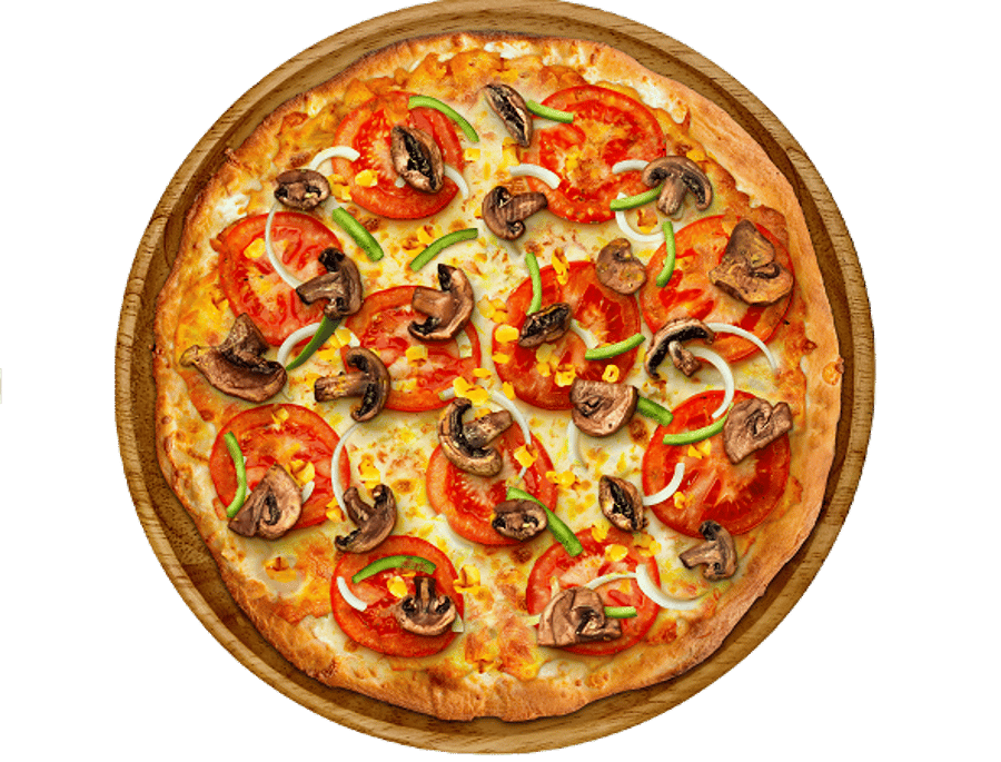 Vegetable Pizza