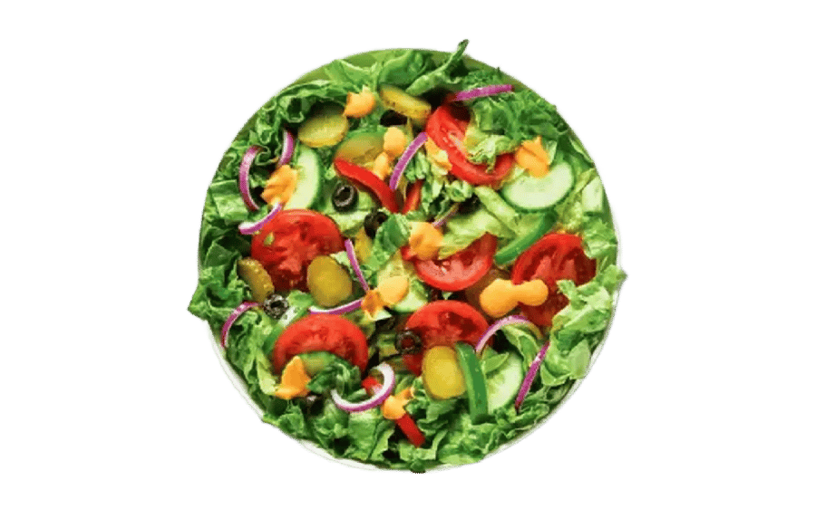 Salat - Grænmetissæla