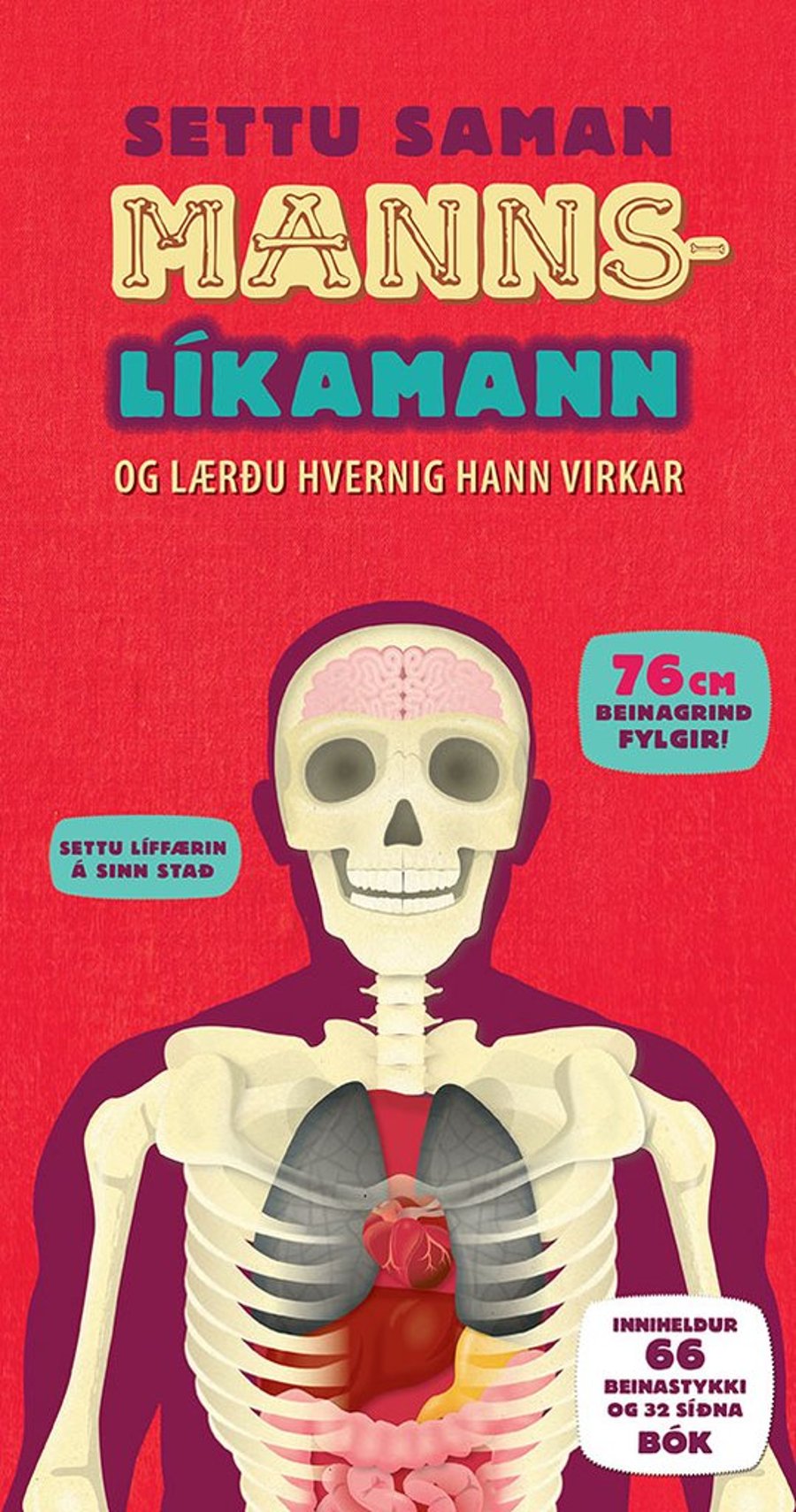 Settu saman mannslíkamann