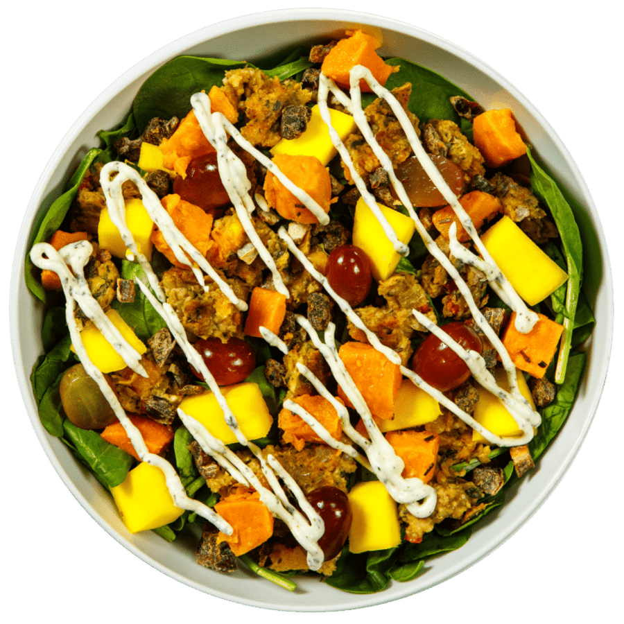 Vegan