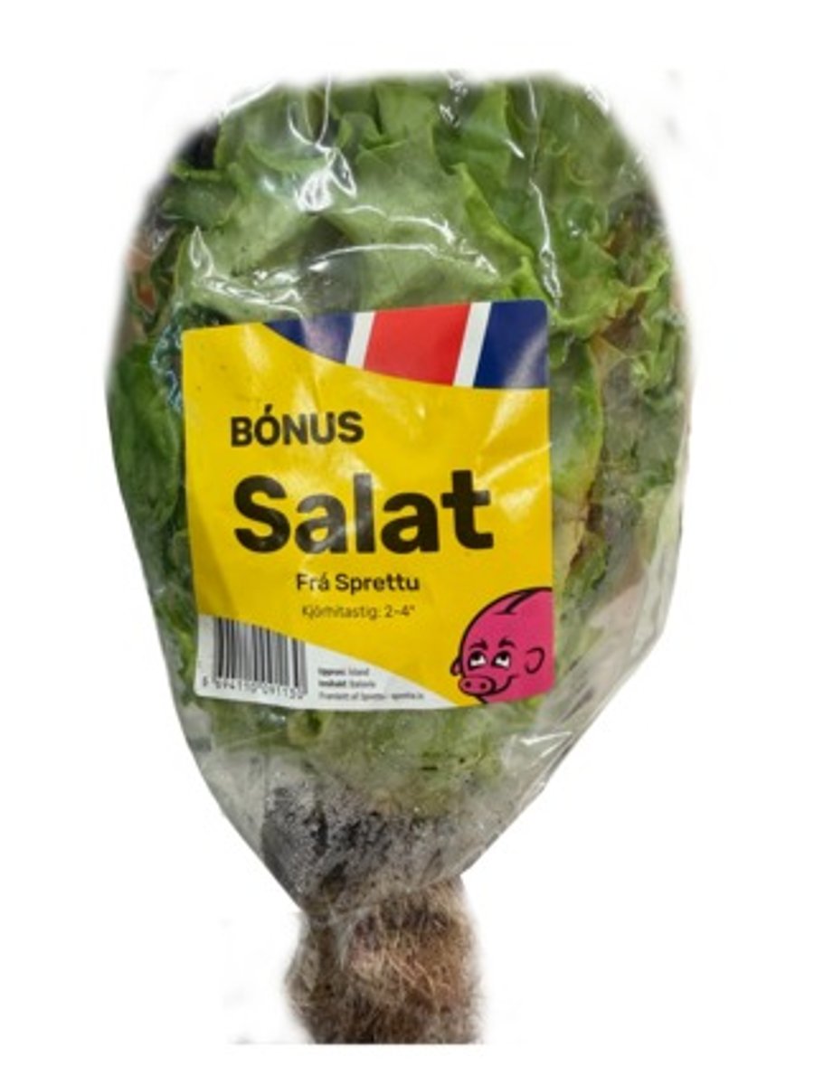Bónus Sprettur í potti 170 g