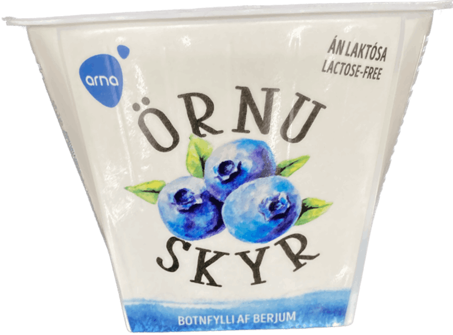 Arna skyr bláber 200 gr