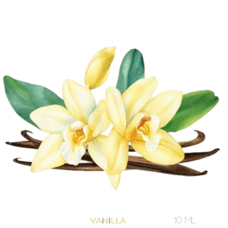 Vanillu Ilmkjarnaolía Relaxation Centre Collection 10 ml