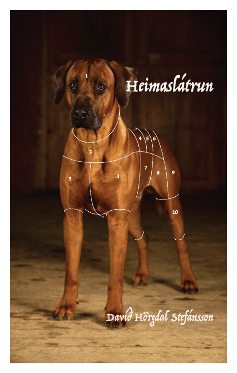 Heimaslátrun