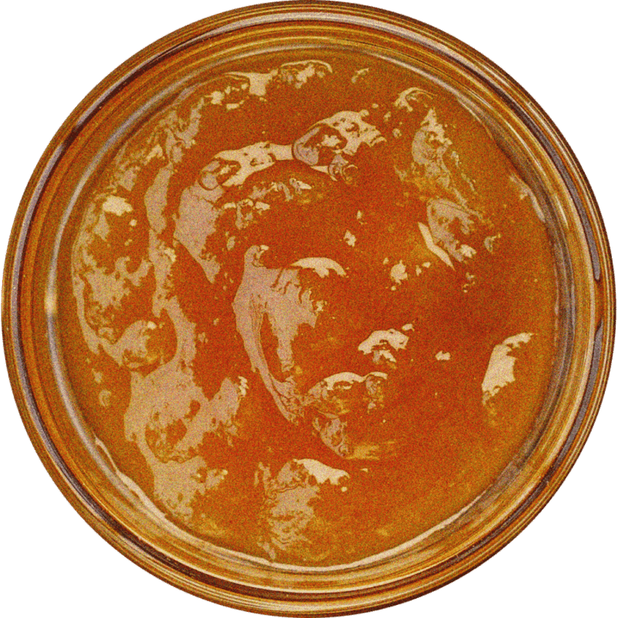Mangó Chutney (Vegan)