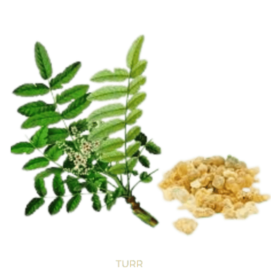 Frankincense Ilmkjarnaolía Relaxation Centre Collection 10 ml