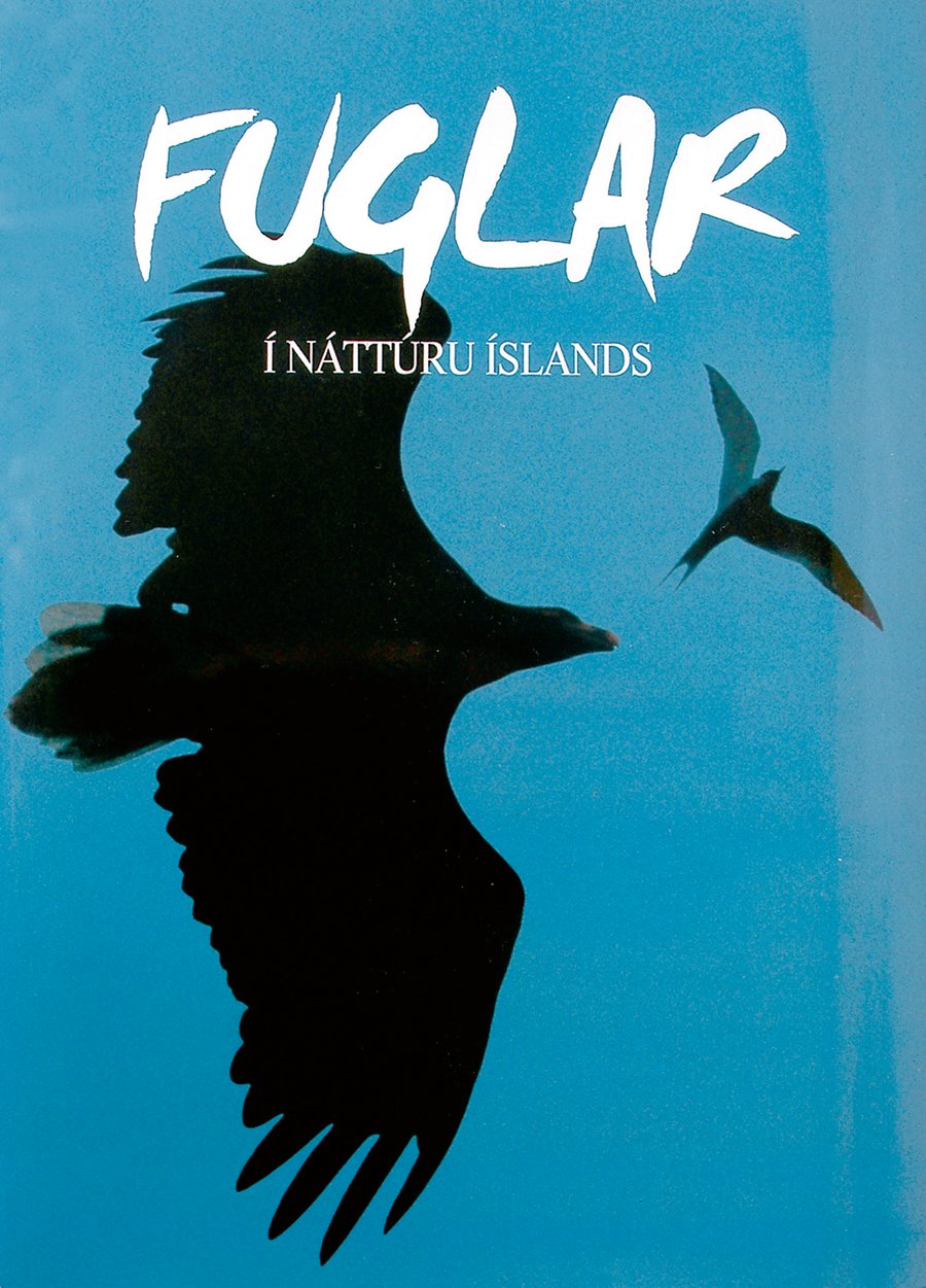 Fuglar í náttúru Íslands