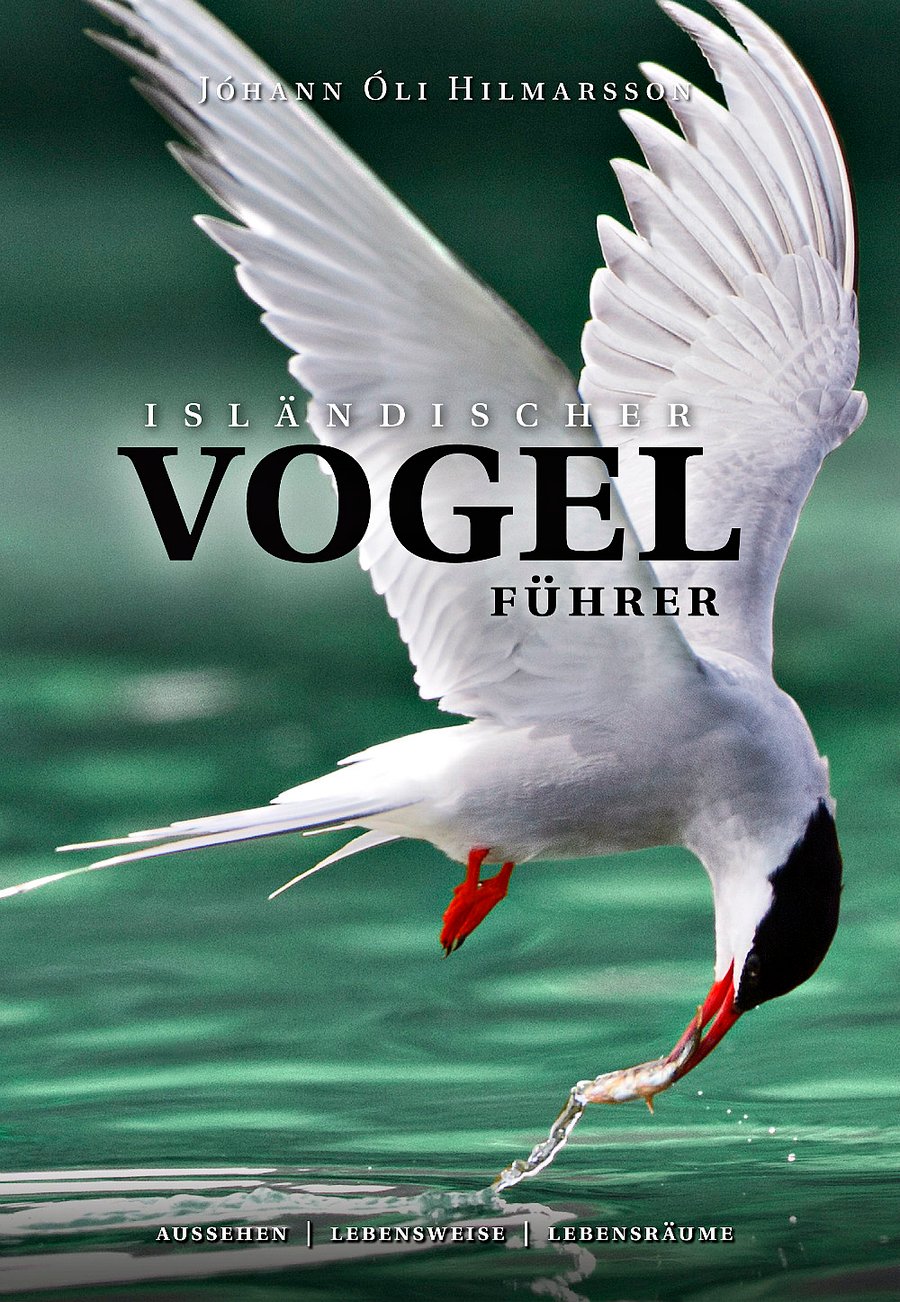 Isländischer Vogelführer