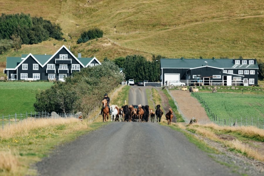 Gisting fyrir tvo í Grand herbergi ásamt 60 mínútna nuddi og aðgangi í spa á Skálakot Manor Hotel