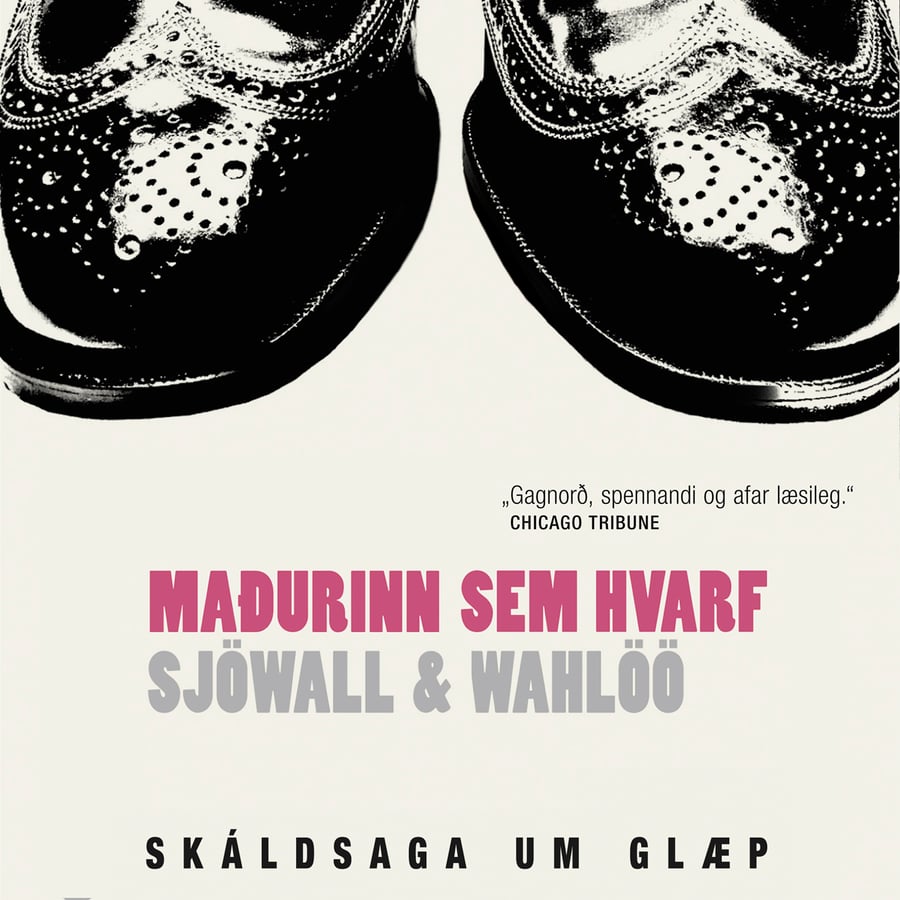 Maðurinn sem hvarf (Skáldsaga um glæp #2)