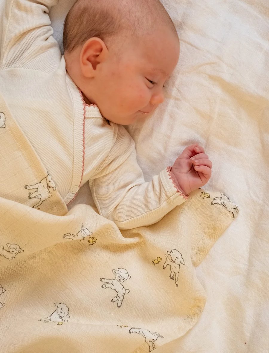 Jana muslin swaddle – Tiny friends