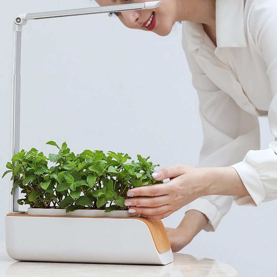 GROW YOUR OWN - SMART GARDEN