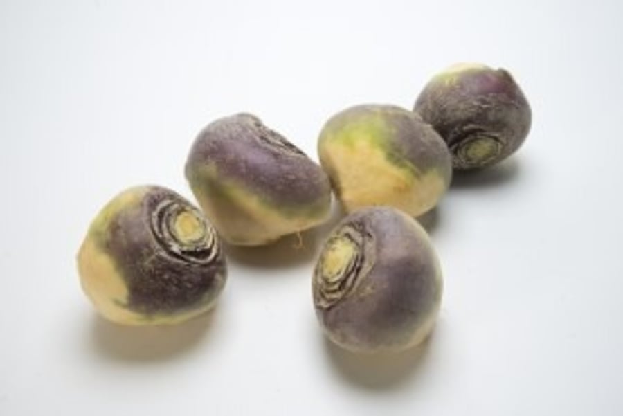 Rófur pakkaðar 1,5 kg