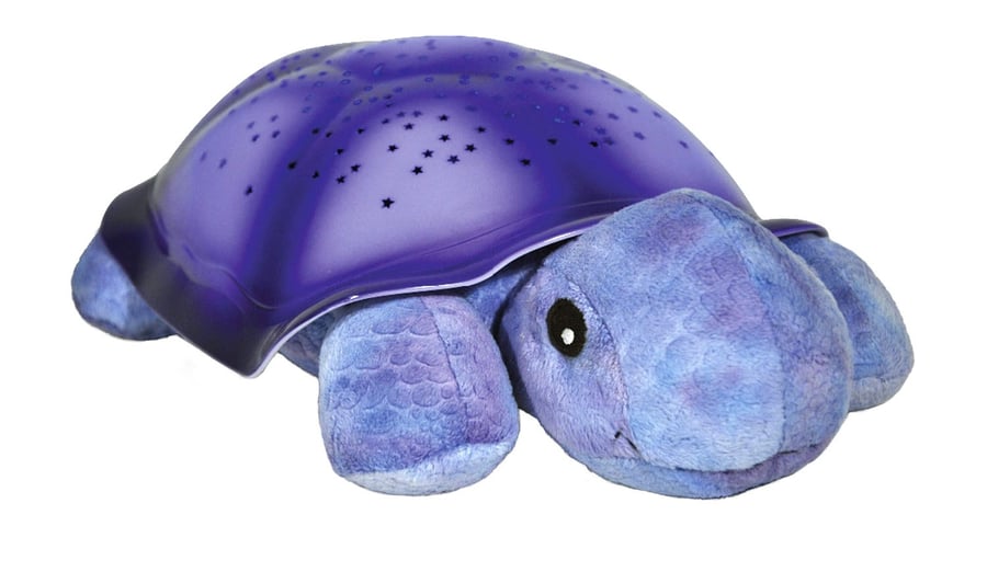 Tranquil Turtle – fjólublá
