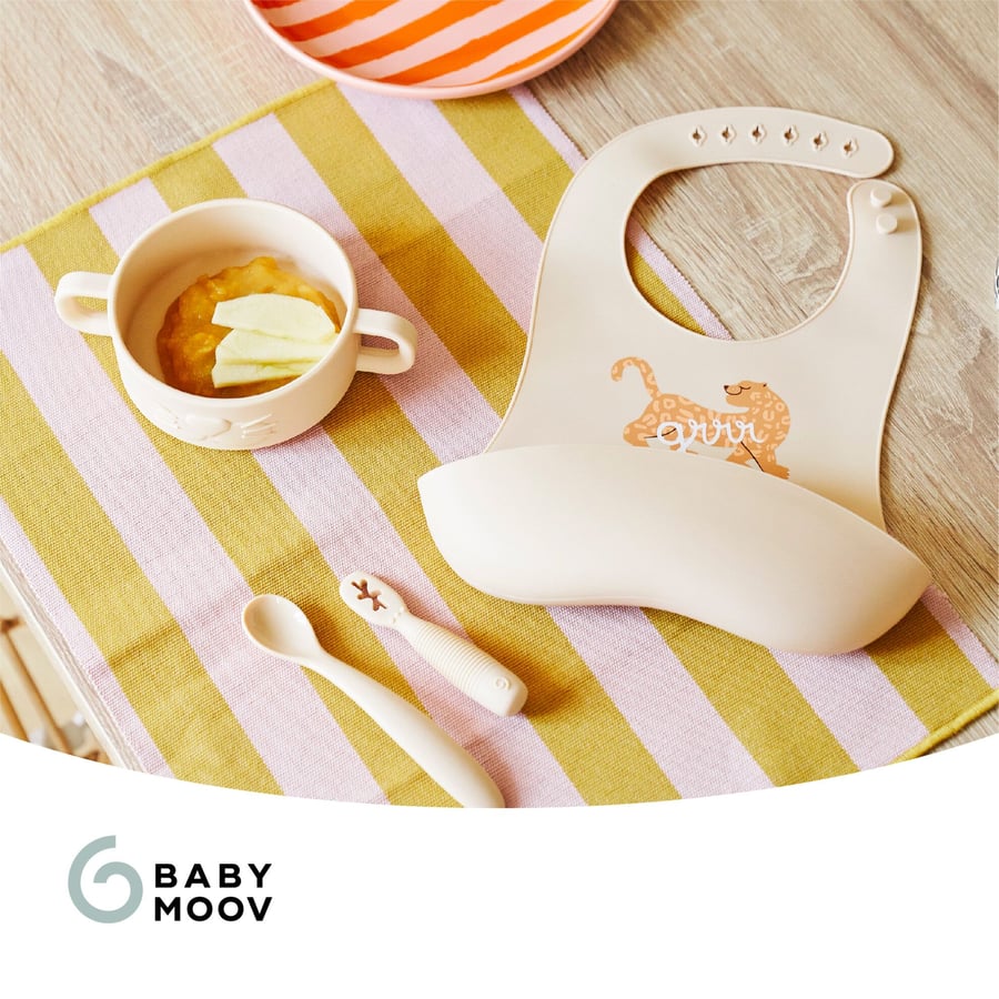 Baby First Meal Set – Mini Roar
