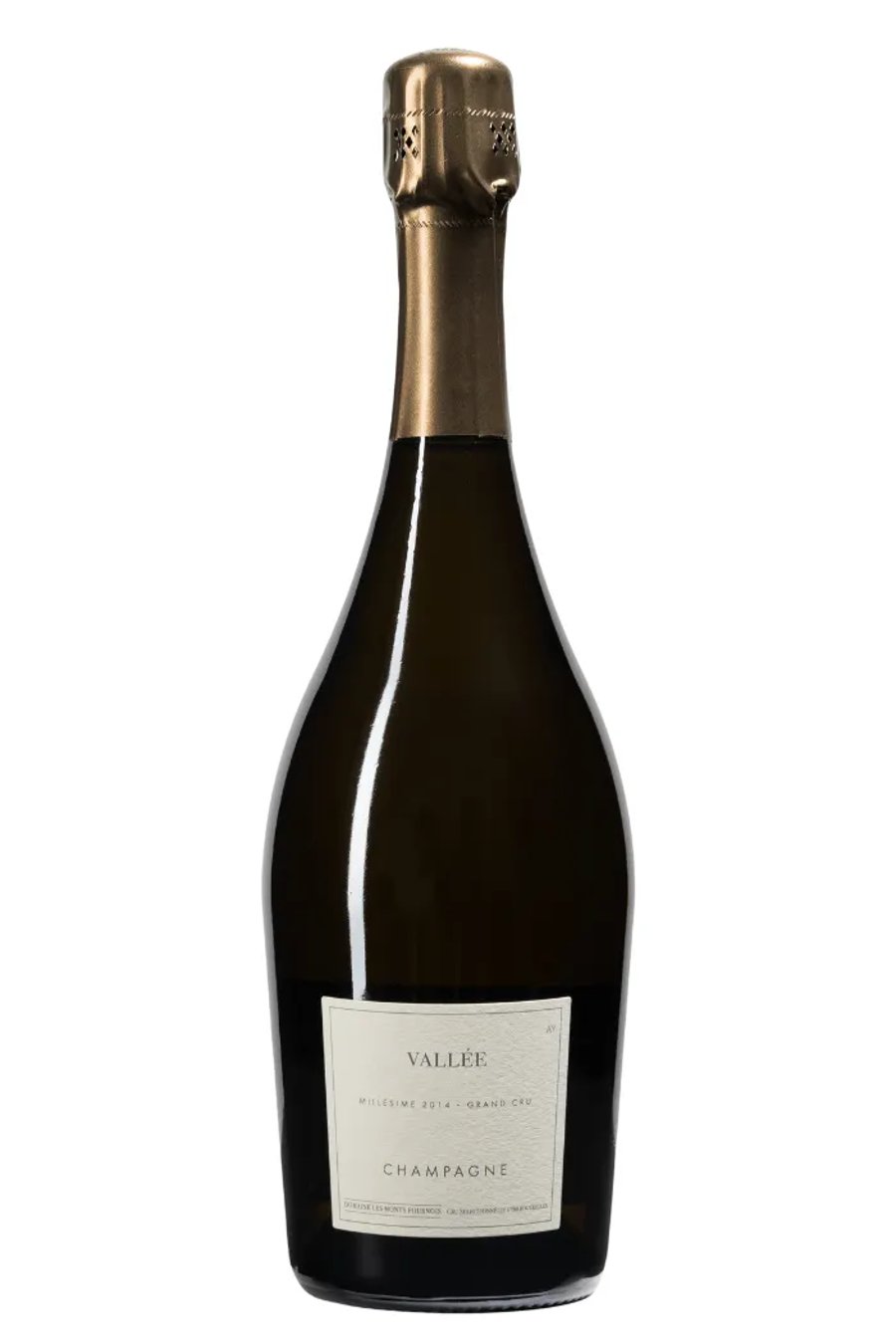 Les Monts Fournois VALLEE Grand Cru Aÿ 2014