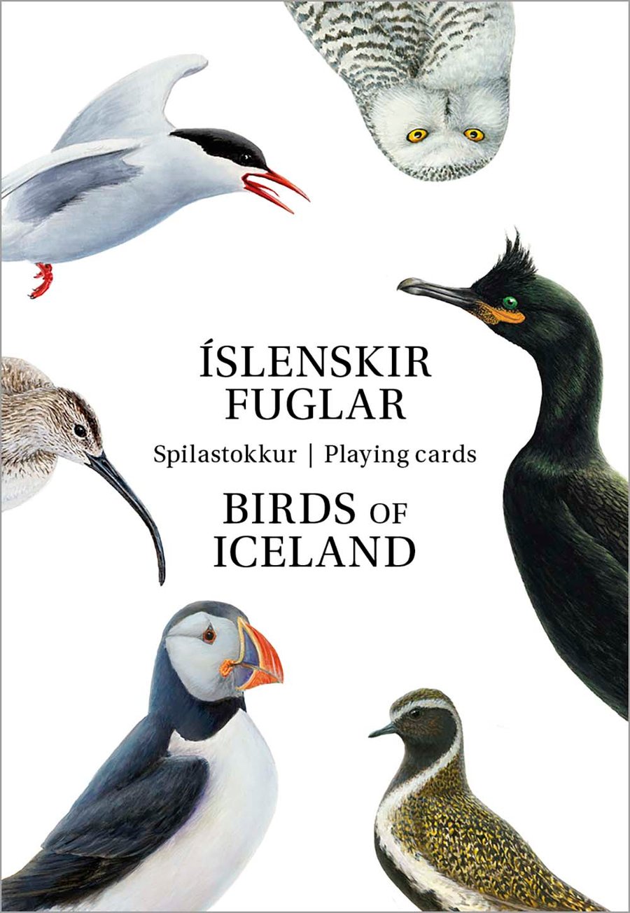 Spilastokkur Íslenskir fuglar