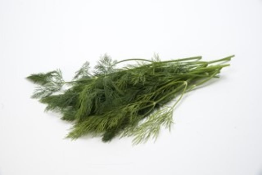 Ferskt dill 50 g
