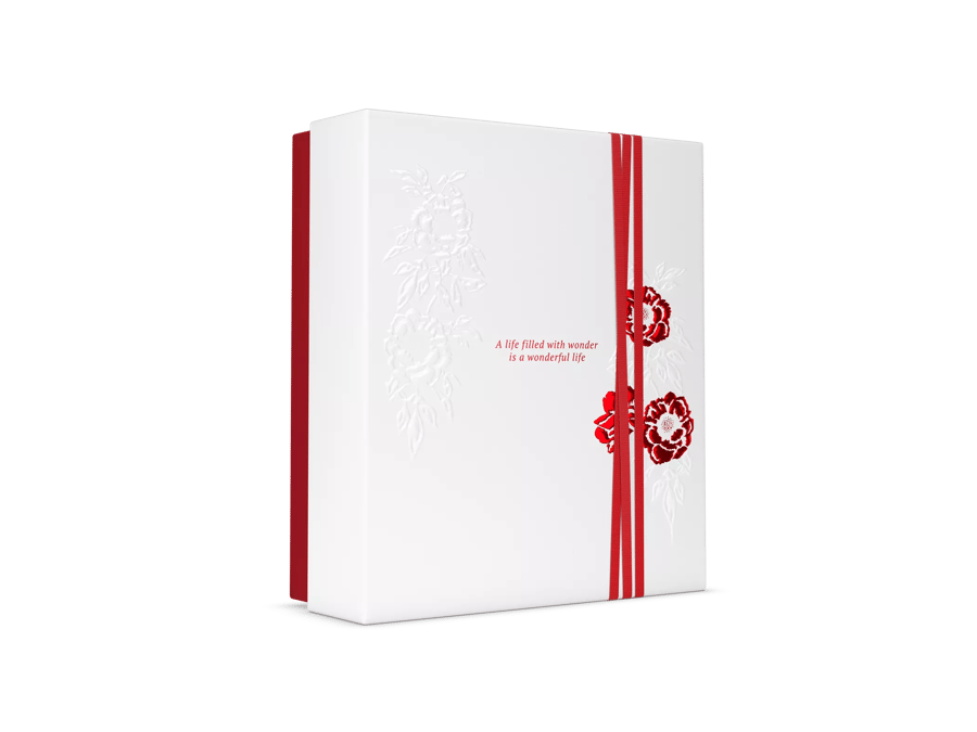 The Ritual of Ayurveda Gjafaaskja M