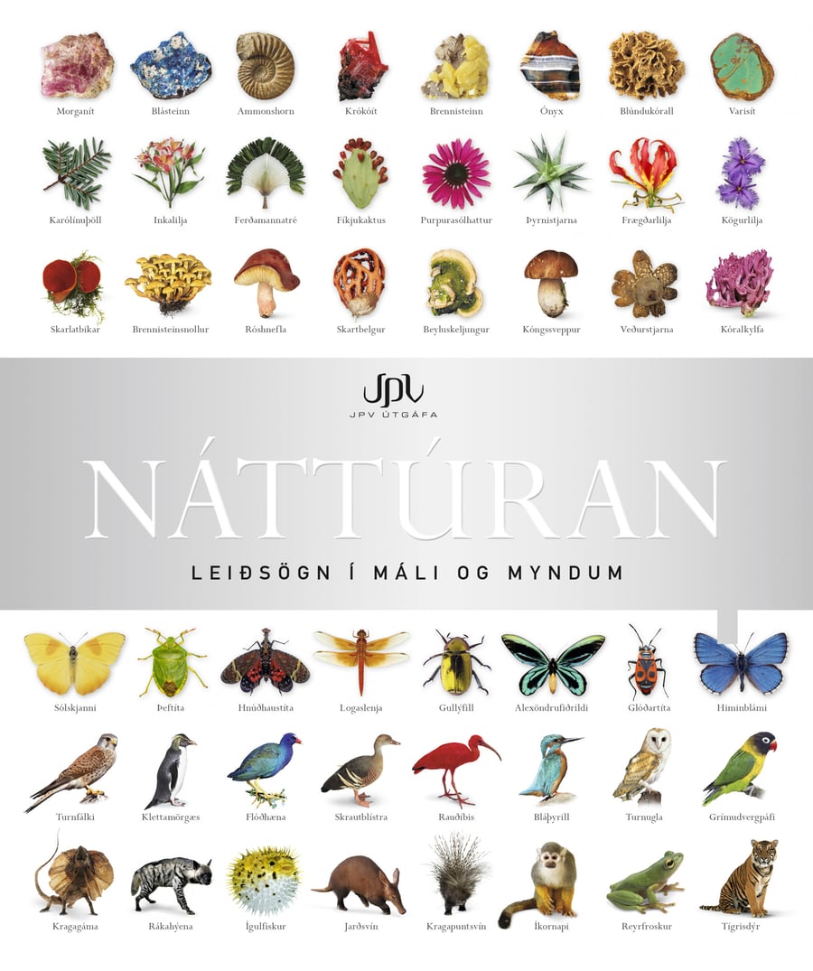 Náttúran - leiðsögn í máli og myndum