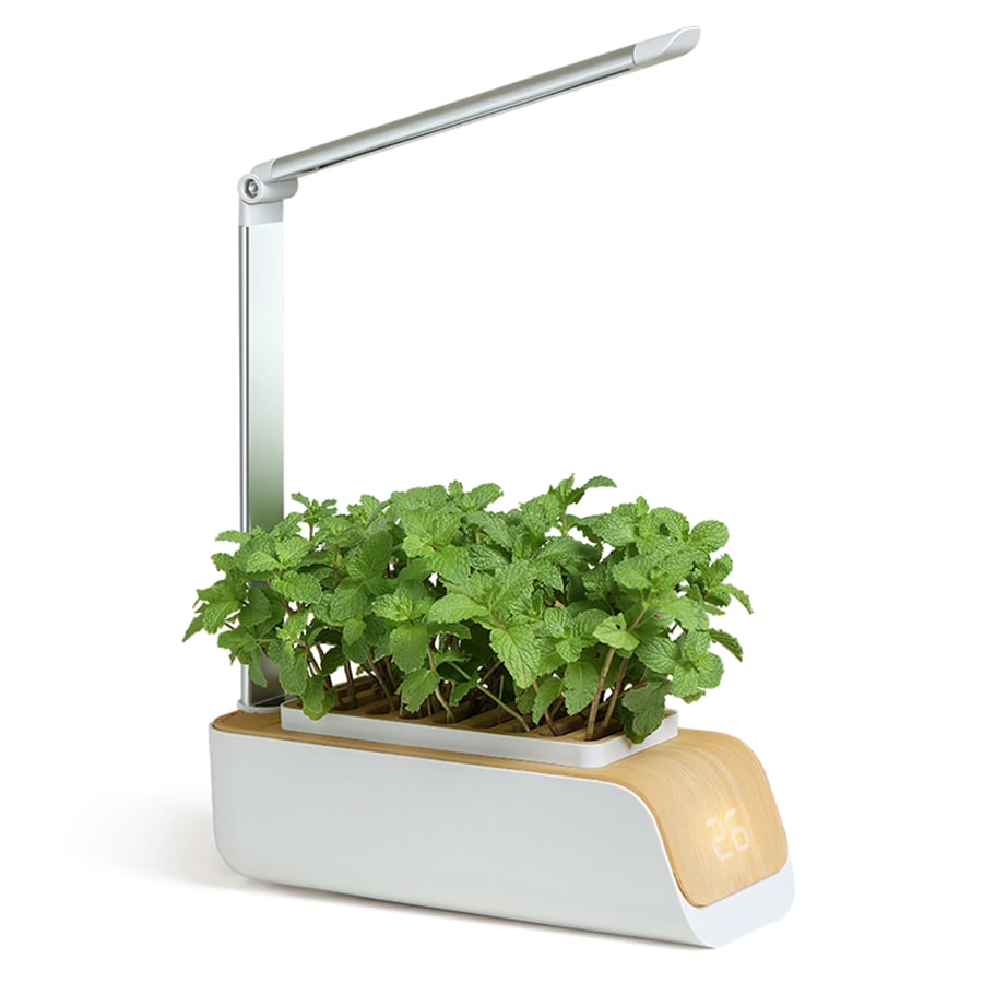 GROW YOUR OWN - SMART GARDEN