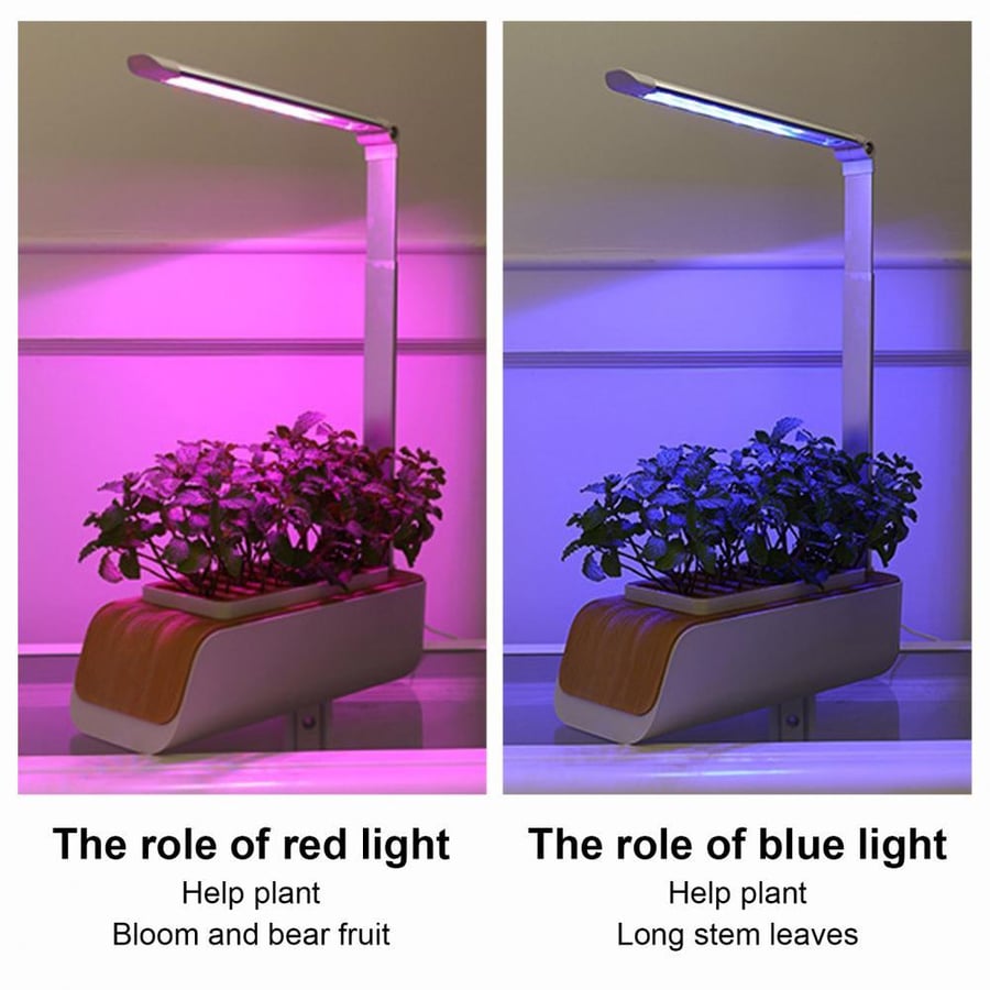 GROW YOUR OWN - SMART GARDEN