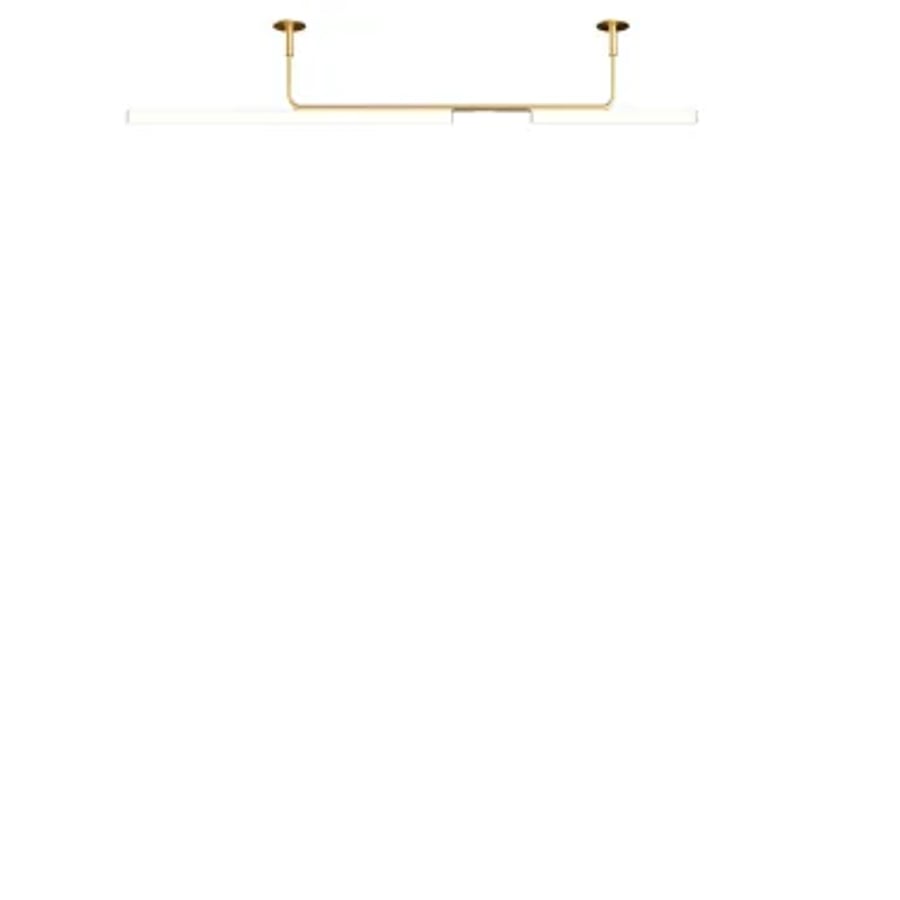 Ambrosia pro 120